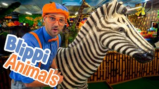 Blippi and Jungle Animals  Explore with BLIPPI  Educational Videos for Toddlers [upl. by Kaazi376]