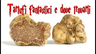 Tartufi fantastici e dove trovarli Guida per principianti [upl. by Erlandson]