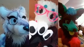 Cringe Furry TikTok Videos [upl. by Ramor]