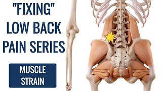 How to Fix Lower Back Strain DONT STRETCH [upl. by Sinylg]