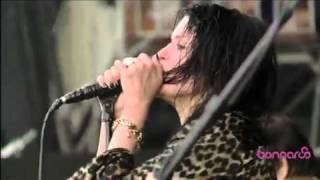 The Dead Weather  I Cant Hear You Bonnaroo 2010 [upl. by Neitsirhc]