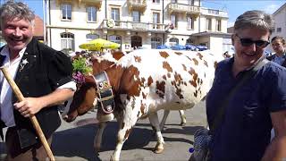 Alpabzug 2019 Plaffeien [upl. by Bron]