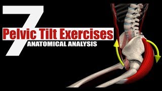 7 Pelvic Tilt Exercises  Anatomical Analysis [upl. by Brookhouse839]