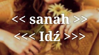 sanah  Idź Tekst  Lyrics [upl. by Arondell]