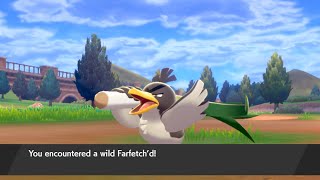 Galarian Farfetchd Location  Pokémon Sword Exclusive [upl. by Nero]