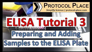 ELISA Tutorial 3 Preparing and Adding Samples to the ELISA Plate [upl. by Nileek]