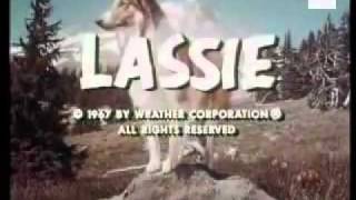 Lassie Opening Theme [upl. by Tound]