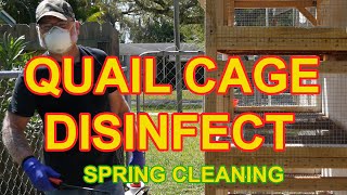 QUAIL CAGE DISINFECT  Spring Cleaning the Quail Room [upl. by Ecirahc]