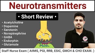 Neurotransmitters  Types and Function Short Review [upl. by Bazluke]