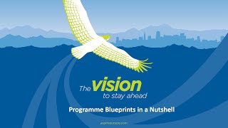 What is the MSP Programme Blueprint [upl. by Quinn473]