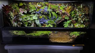 PALUDARIUM TUTORIAL  Step by step [upl. by Lesoj]