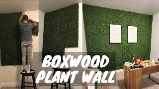 Faux Boxwood Plant Wall EASY DIY [upl. by Reham]