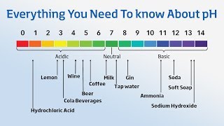 Using a pH Meter  Everything You Need to Know About pH [upl. by O'Callaghan]