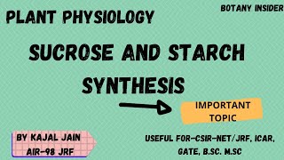 Starch and Sucrose Synthesis Plant Physiology  CSIRNET JRFII [upl. by Uahsoj]