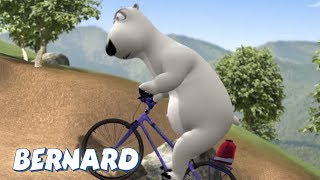 Bernard Bear  Mountain Biking AND MORE  Cartoons for Children [upl. by Odarbil699]