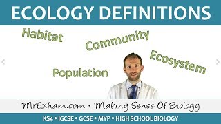 Ecology  Key Definitions  GCSE Biology 91 [upl. by Rramel418]