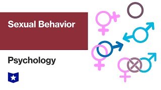 Sexual Behavior  Psychology [upl. by Reba724]