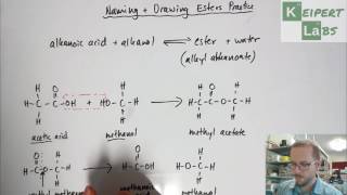 Esters  Drawing Structural Formulae and Naming Practice [upl. by Atibat]