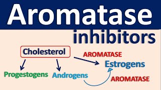 Aromatase inhibitors [upl. by Armelda]