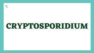 Cryptosporidium  Morphology Life Cycle Cryptosporidiosis lab Diagnosis Treatment  MedZukhruf [upl. by Cash]