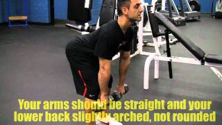 Dumbbell Stiff Legged Deadlift [upl. by Charlie]