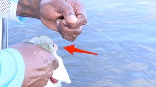 The Fastest Way To Remove A Circle Hook From A Fishs Mouth [upl. by Weissmann]