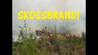 Skogsbrand 2018 [upl. by Auop]