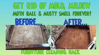 Remove Mold amp Mildew from Furniture DIY Hack Stop The Stink Mold Mildew Musty Moth Balls Hack [upl. by Nraa]