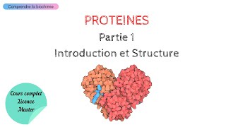 PROTÉINES  INTRODUCTION ET STRUCTURE  Biochimie Facile [upl. by Cronin113]