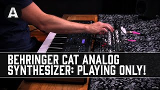 Behringer CAT Analog Synthesizer  Playing Only [upl. by Shumway941]