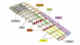 Major Aircraft Components [upl. by Ahsiekel850]