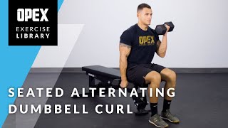 Seated Alternating Dumbbell Curl  OPEX Exercise Library [upl. by Larrie675]