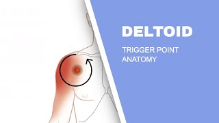 Shoulder Pain  Deltoid Muscle Trigger Points Explained [upl. by Ecylahs290]