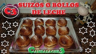 SUIZOS O BOLLOS DE LECHE MUY FÁCILES DE HACER [upl. by Rana]