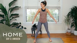 Home  Day 3  Awaken  30 Days of Yoga [upl. by Pritchett]