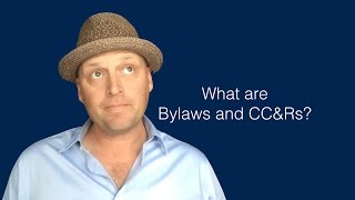 What are Bylaws and CCampRs [upl. by Atinit]