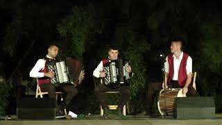 Serbian folk music Traditional Serbian music 1 [upl. by Wylma420]