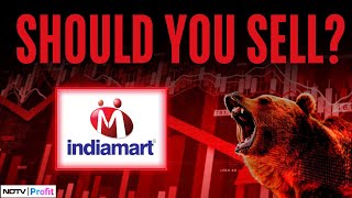 IndiaMart Shares Tank In Trade Amid Declining Subscriber Base  IndiaMART Share News  NDTV Profit [upl. by Tteltrab558]