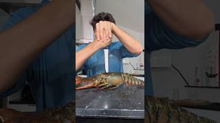 Boiling Lobster W Salt [upl. by Engvall]