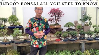 Indoor Bonsai All You Need To Know [upl. by Aggappora]