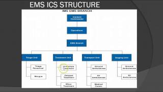 Incident Command amp Mass Casualty Incidents for EMS Providers Lecture [upl. by Gamin]