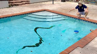 HURRICANE BLOWS SNAKES INTO MY POOL [upl. by Vudimir]