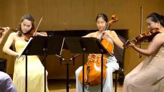 Brahms  Hungarian Dance No5 [upl. by Ayhay24]