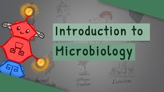 Introduction To Microbiology [upl. by Roon781]