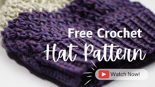 FREE Crochet Hat Pattern  Learn the ALPINE STITCH [upl. by Traver]