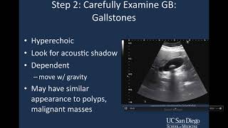 Introduction to Biliary Ultrasound [upl. by Studley]