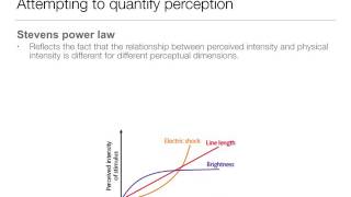 Perception 16 Laws and Theories [upl. by Maclaine464]