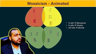 Mosaicism Basic Concepts [upl. by Dewar]