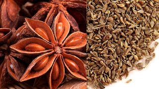 All about star anise and anise seeds  health benefits home remedies anise tea amp nutrition [upl. by Mann]