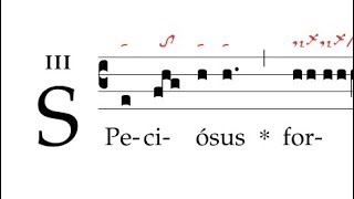 Graduale Speciosus forma [upl. by Bum648]